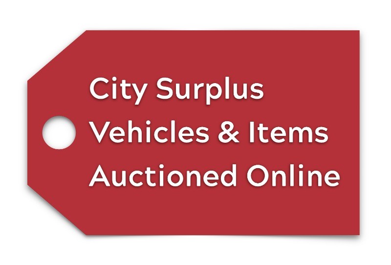 surplus auctions graphic