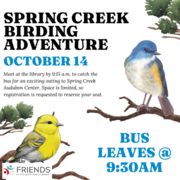 birding at spring creek