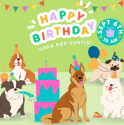birthday